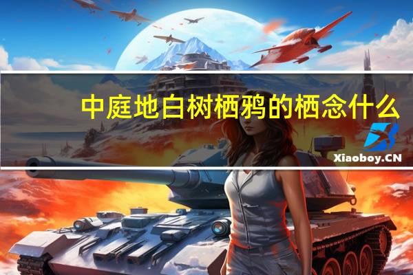 中庭地白树栖鸦的栖念什么
