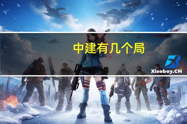 中建有几个局