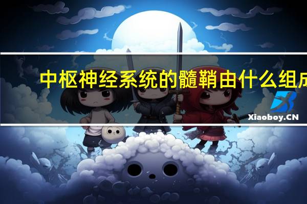 中枢神经系统的髓鞘由什么组成