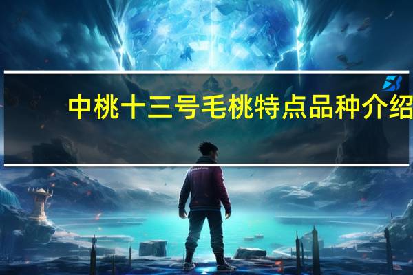 中桃十三号毛桃特点品种介绍