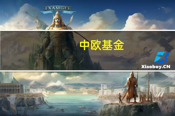 中欧基金:调低中欧增强回报债券型证券投资基金(LOF)管理费