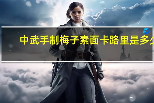 中武 手制梅子素面卡路里是多少