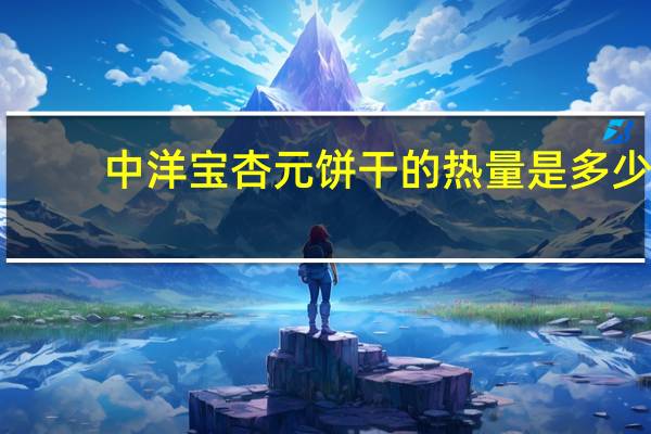 中洋宝 杏元饼干的热量是多少