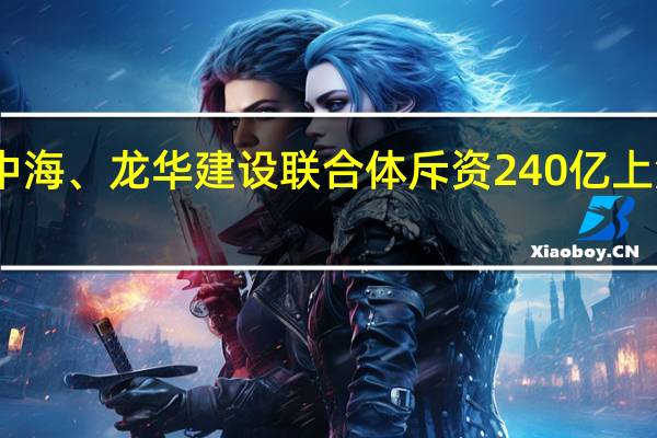 中海、龙华建设联合体斥资240亿上海夺地