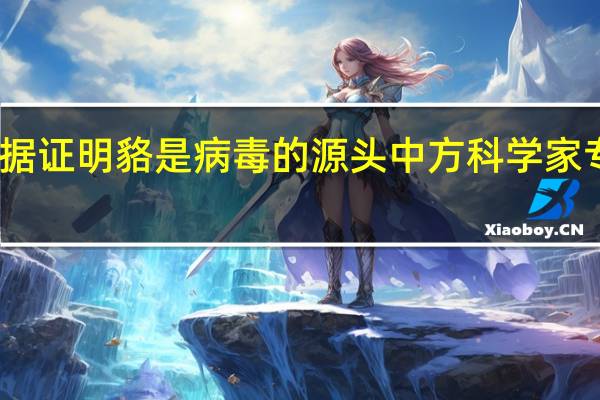 中疾控现在远远没有足够的证据证明貉是病毒的源头 中方科学家专家认为新冠最有可能的起源是什么
