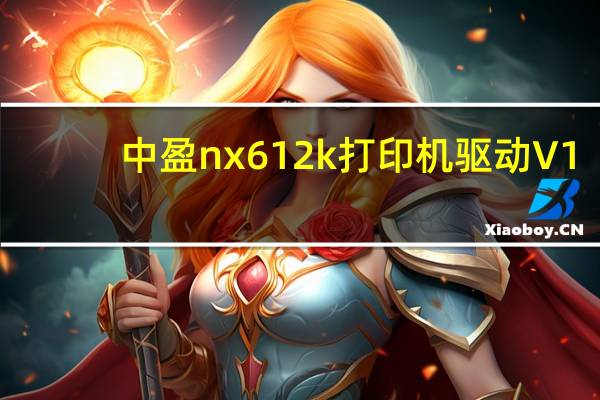 中盈nx612k打印机驱动 V1.1 官方版（中盈nx612k打印机驱动 V1.1 官方版功能简介）