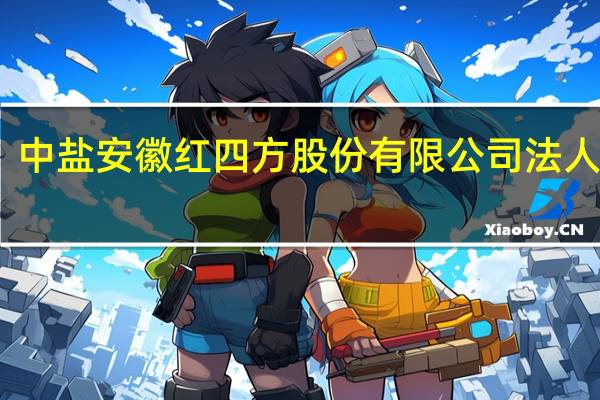 中盐安徽红四方股份有限公司法人是谁