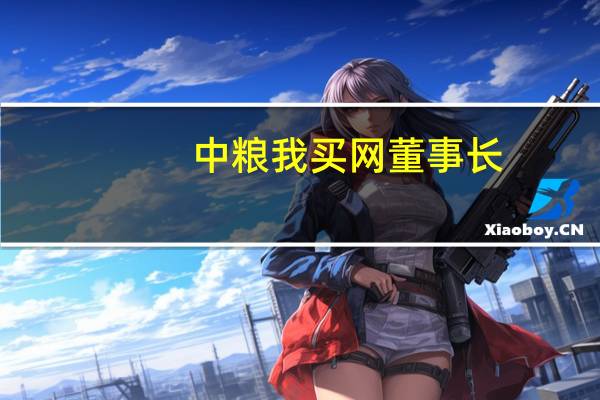 中粮我买网董事长(赵平原-中粮集团我买网总经理介绍)