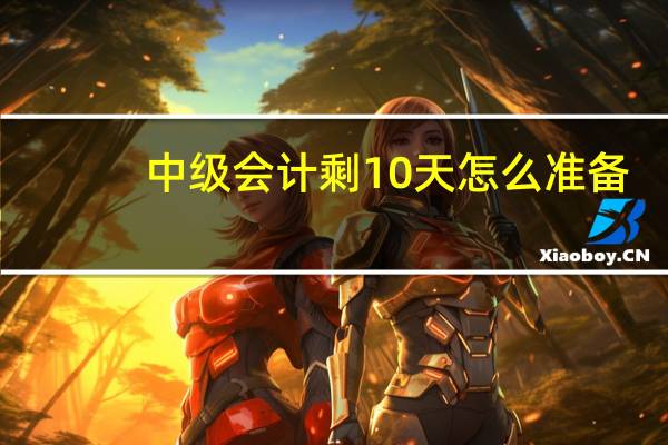 中级会计剩10天怎么准备
