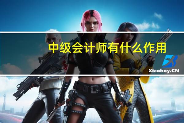 中级会计师有什么作用