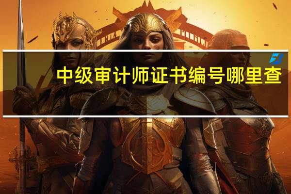 中级审计师证书编号哪里查（中级审计师证书）