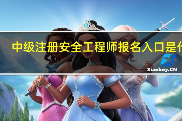 中级注册安全工程师报名入口是什么