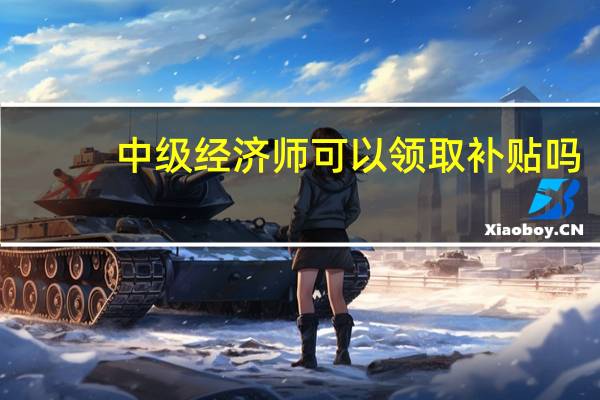 中级经济师可以领取补贴吗