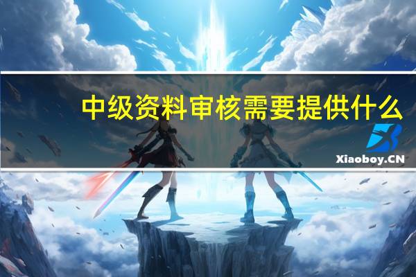 中级资料审核需要提供什么