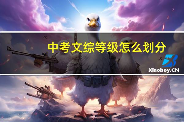 中考文综等级怎么划分
