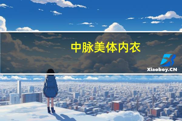 中脉美体内衣