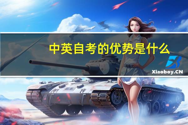 中英自考的优势是什么