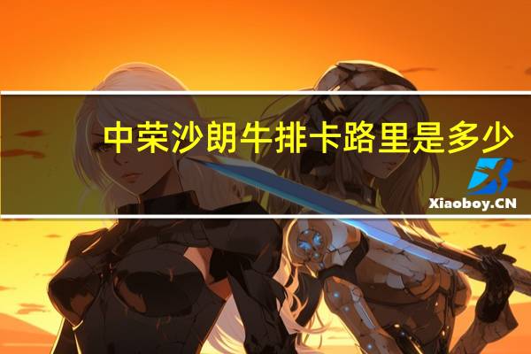 中荣 沙朗牛排卡路里是多少