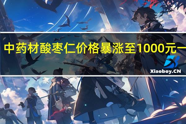 中药材酸枣仁价格暴涨至1000元一公斤：俩月前酸枣只要10元