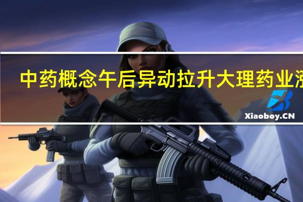 中药概念午后异动拉升 大理药业涨停