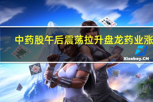 中药股午后震荡拉升 盘龙药业涨停
