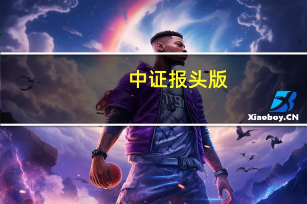 中证报头版：优化融资安排做“加减法”非按“暂停键”