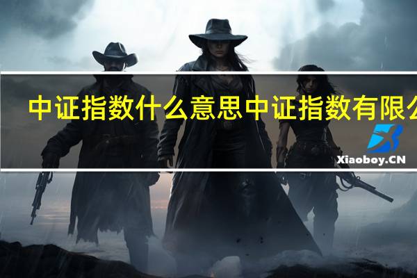 中证指数什么意思 中证指数有限公司