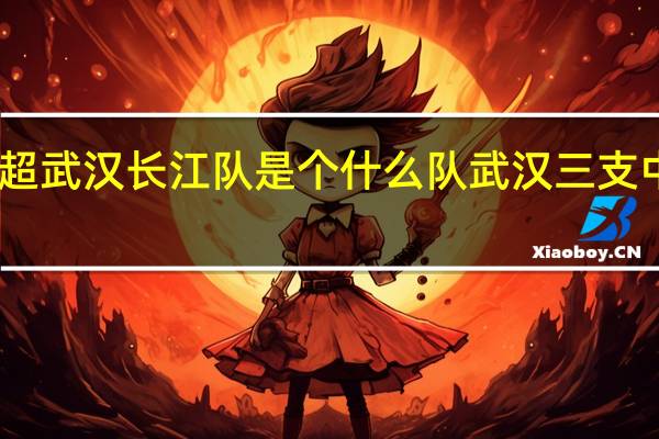 中超武汉长江队是个什么队 武汉三支中超球队