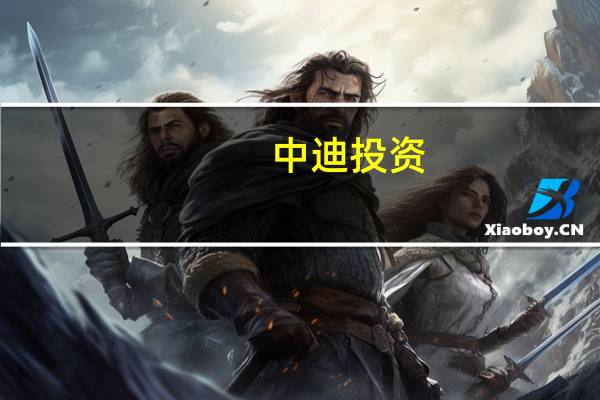 中迪投资：关于公司财务总监辞职及聘请财务总监的公告