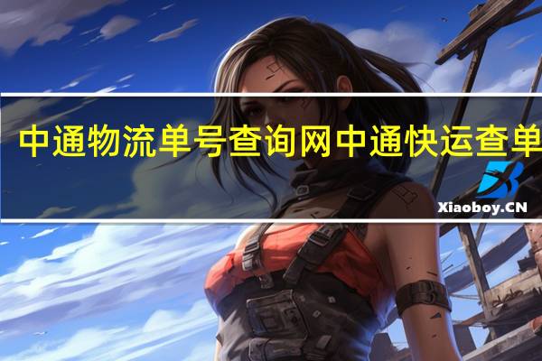 中通物流单号查询网 中通快运查单查询
