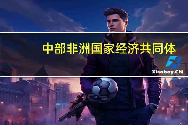 中部非洲国家经济共同体：决定暂停加蓬的成员资格直到其在可接受的时间内恢复宪法秩序