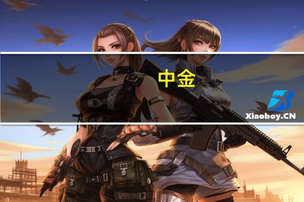 中金：美元与利率回落周期之下 明年关注两条主线