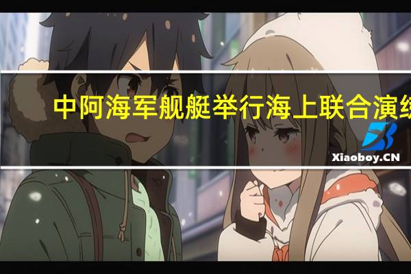 中阿海军舰艇举行海上联合演练