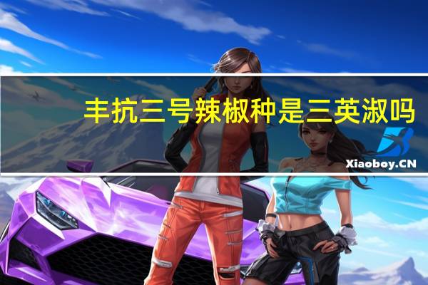 丰抗三号辣椒种是三英淑吗