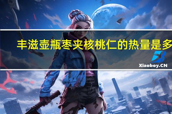 丰滋 壶瓶枣夹核桃仁的热量是多少