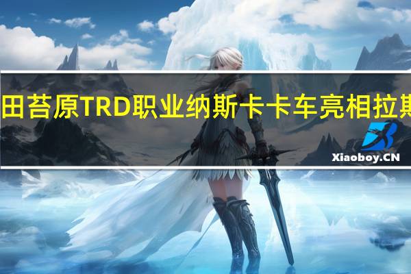 丰田苔原TRD职业纳斯卡卡车亮相拉斯维加斯