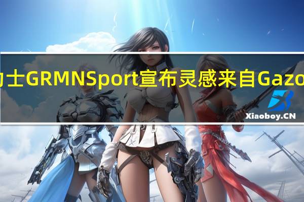 丰田雅力士GRMN Sport宣布灵感来自Gazoo Racing版本