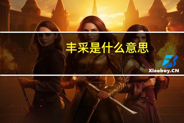 丰采是什么意思