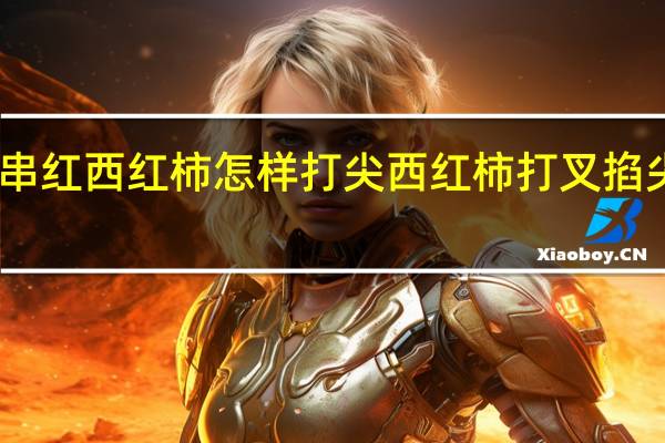 串红西红柿怎样打尖 西红柿打叉掐尖图解