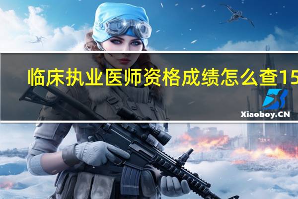 临床执业医师资格成绩怎么查15年