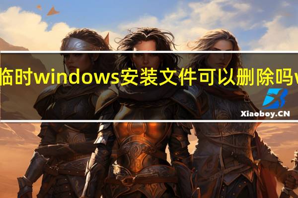 临时windows安装文件可以删除吗 win10