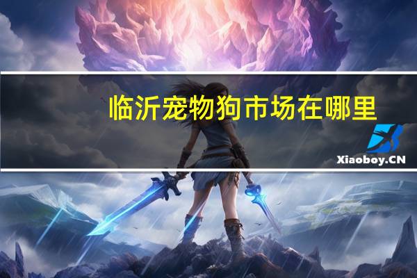 临沂宠物狗市场在哪里