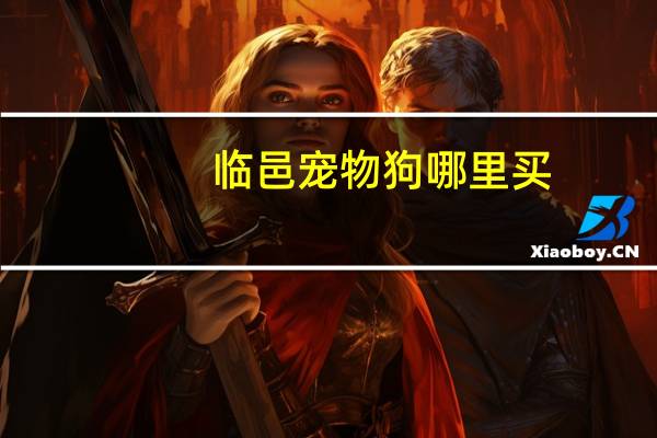 临邑宠物狗哪里买