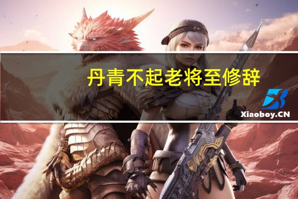 丹青不起老将至修辞