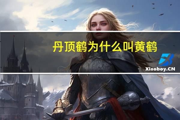 丹顶鹤为什么叫黄鹤