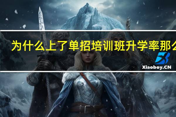 为什么上了单招培训班升学率那么高