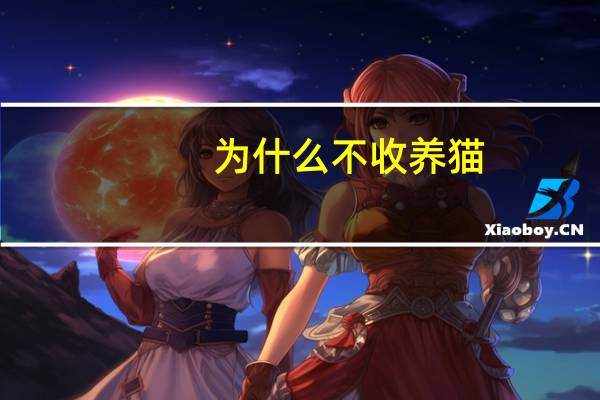 为什么不收养猫