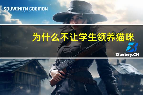 为什么不让学生领养猫咪