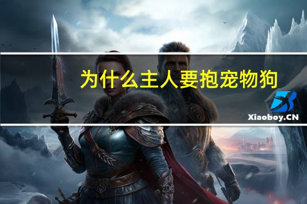 为什么主人要抱宠物狗