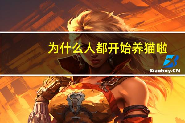 为什么人都开始养猫啦